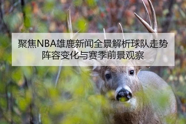 聚焦NBA雄鹿新闻全景解析球队走势阵容变化与赛季前景观察