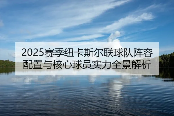2025赛季纽卡斯尔联球队阵容配置与核心球员实力全景解析